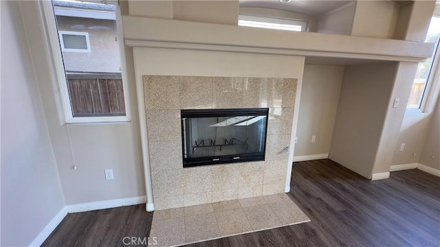 room details with wood-type flooring and a fireplace