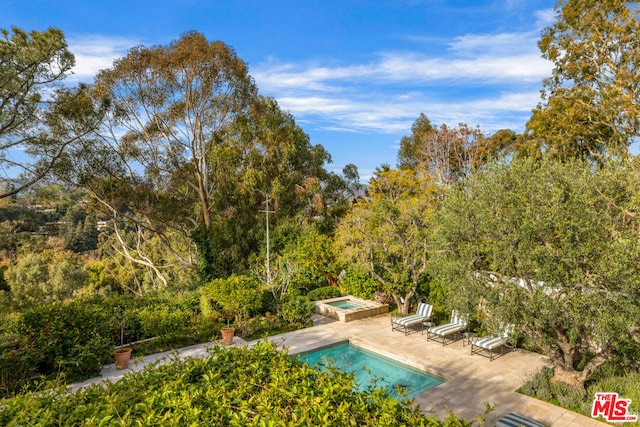 view of pool featuring a jacuzzi and a patio