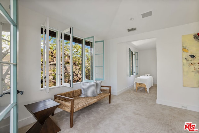 living area featuring light colored carpet