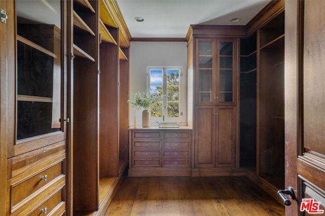 walk in closet with dark hardwood / wood-style flooring