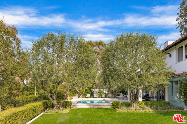 view of yard featuring a patio area