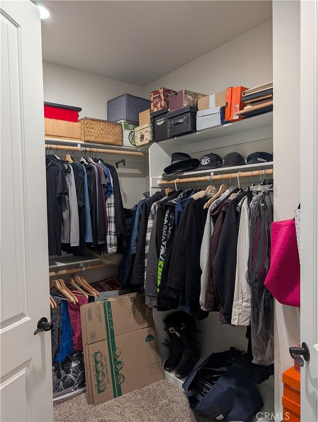 spacious closet with carpet floors