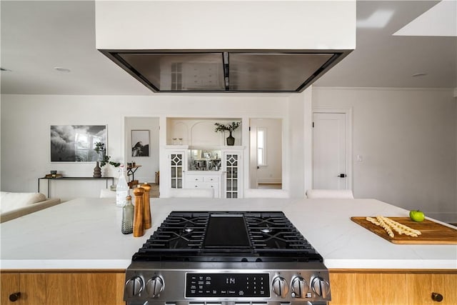 kitchen featuring light stone countertops and stainless steel gas stove