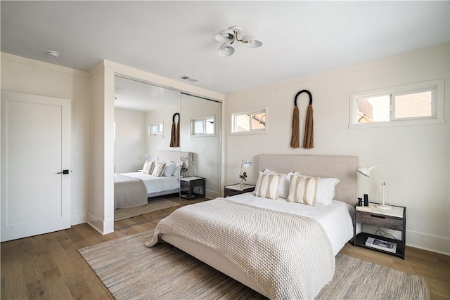 bedroom featuring multiple windows, wood-type flooring, and a closet