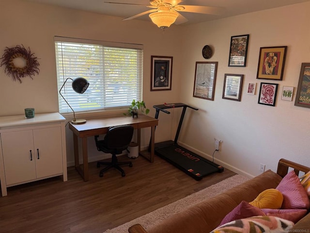 office featuring hardwood / wood-style flooring and ceiling fan