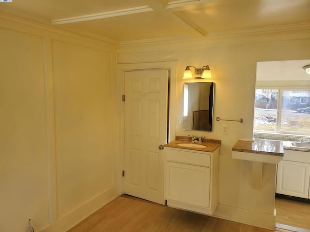 bathroom featuring sink, hardwood / wood-style flooring, and ornamental molding