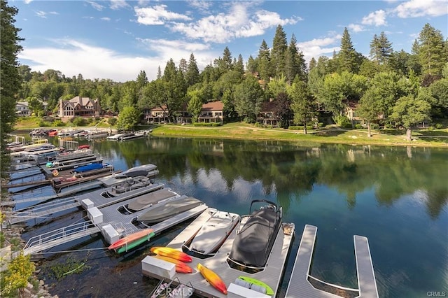 dock area with a water view