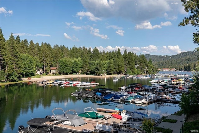 dock area with a water view