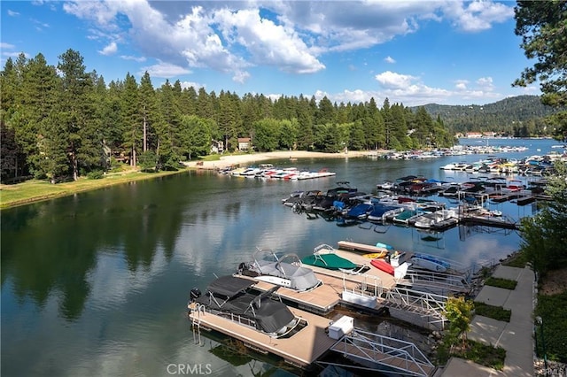 water view featuring a boat dock