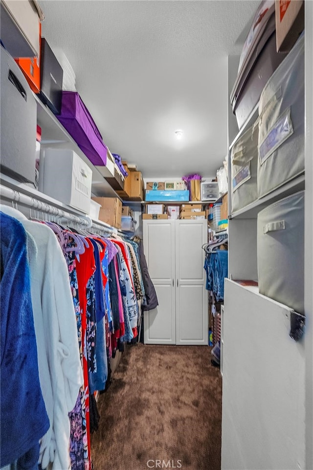 walk in closet with dark carpet