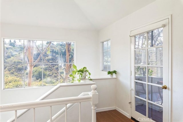 interior space featuring baseboards, lofted ceiling, and dark wood finished floors