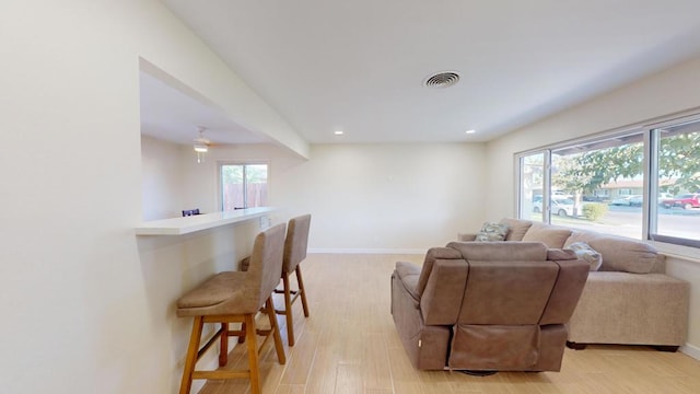 living room featuring light hardwood / wood-style floors and a wealth of natural light