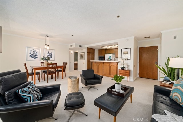 carpeted living room with crown molding and a textured ceiling