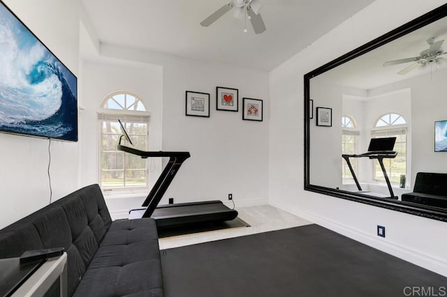 exercise room with ceiling fan and carpet floors