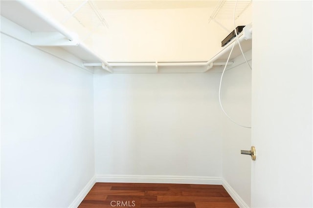 spacious closet featuring hardwood / wood-style flooring