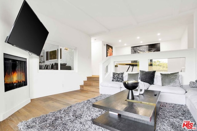 living room featuring hardwood / wood-style floors