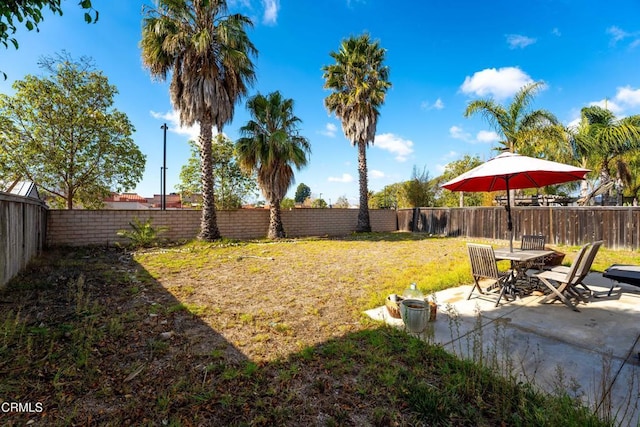 view of yard with a patio