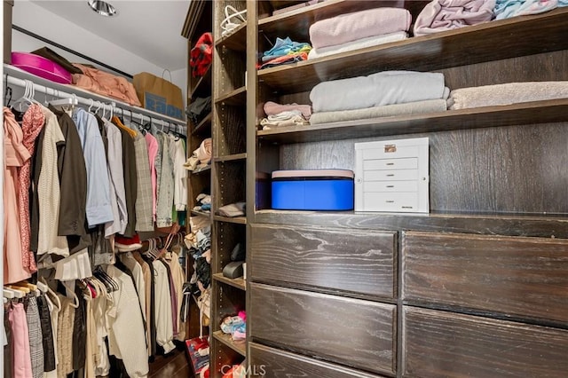 view of walk in closet