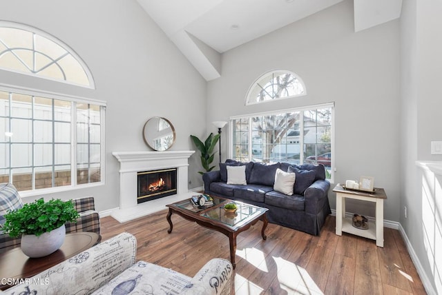 living room with high vaulted ceiling and hardwood / wood-style floors