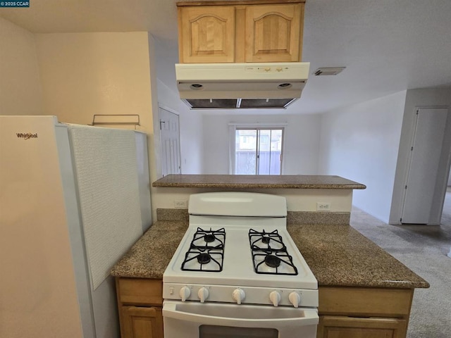 kitchen featuring carpet flooring and white appliances