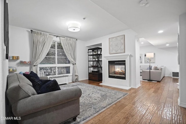 living room featuring hardwood / wood-style flooring and a multi sided fireplace