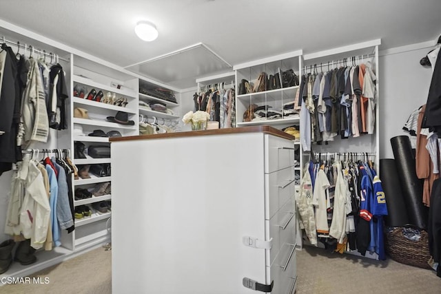 walk in closet with light colored carpet