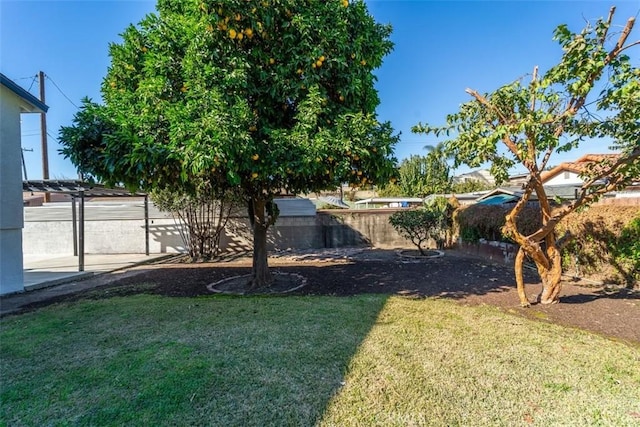 view of yard featuring a pergola