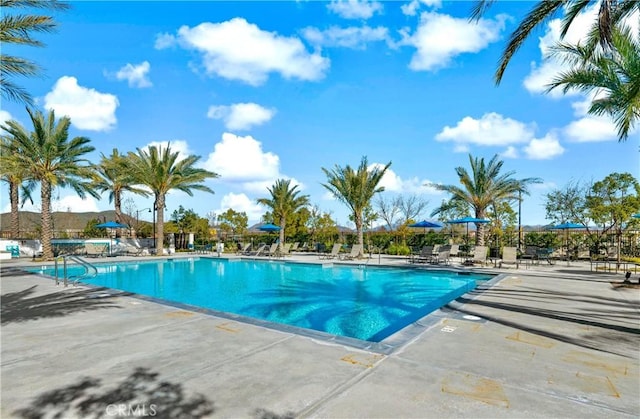 view of pool with a patio