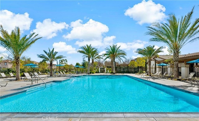 view of swimming pool featuring a patio area