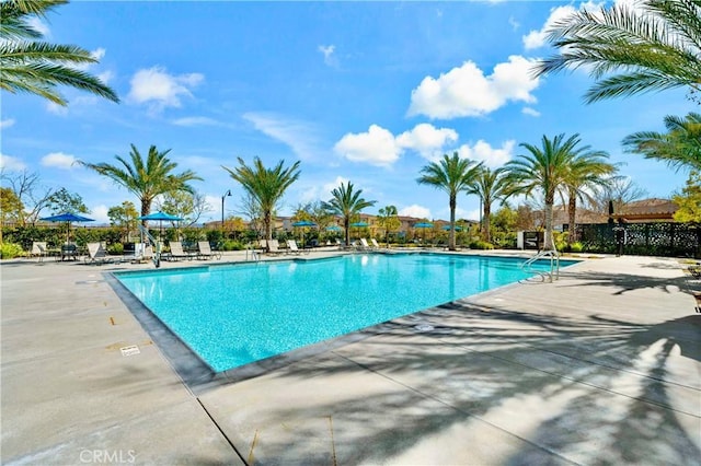 view of pool with a patio area