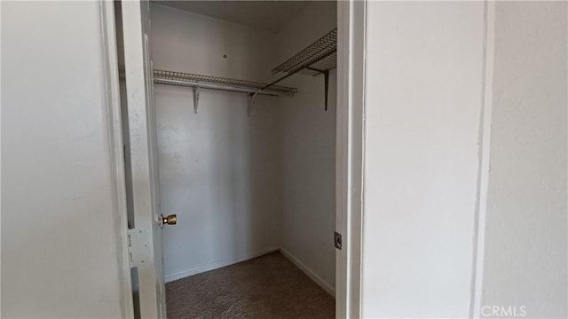 walk in closet featuring dark colored carpet