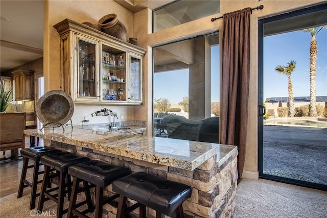 bar with sink and dark carpet