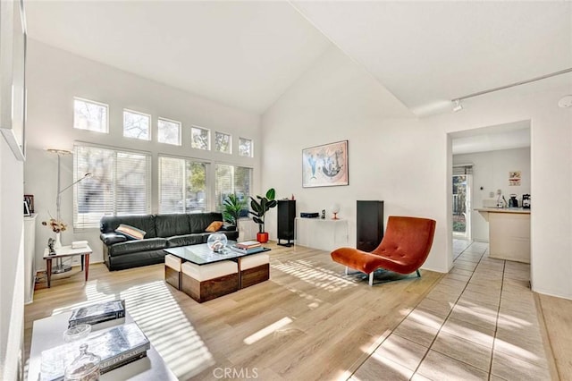 living room with light hardwood / wood-style flooring and high vaulted ceiling