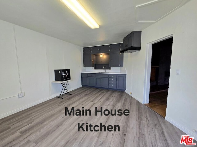 kitchen with sink and light wood-type flooring