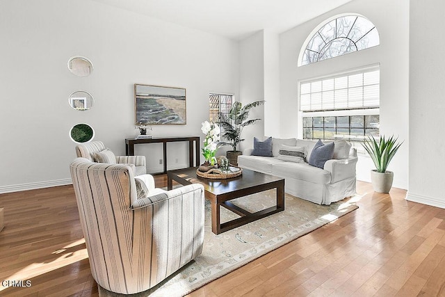 living room with hardwood / wood-style flooring and plenty of natural light