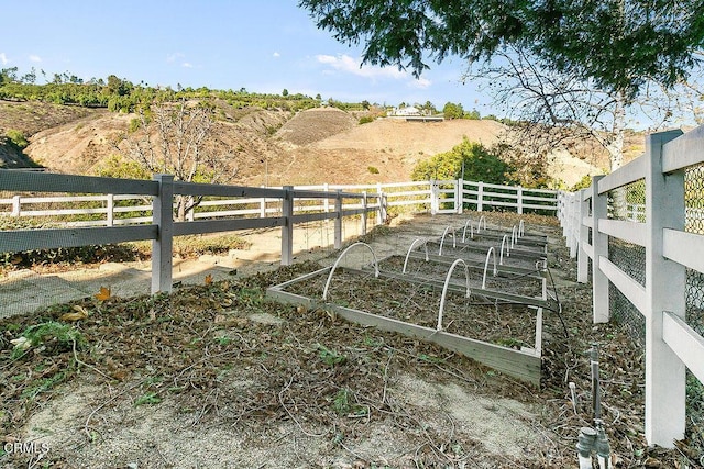 view of yard with a rural view