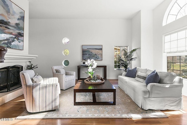 living room featuring wood-type flooring