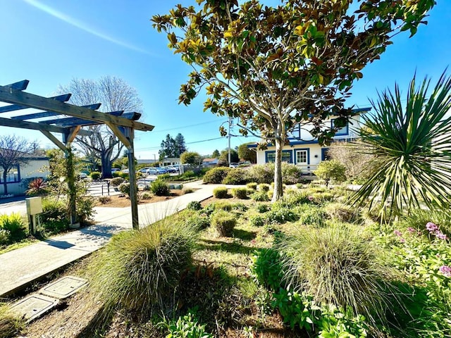 view of property's community with a pergola