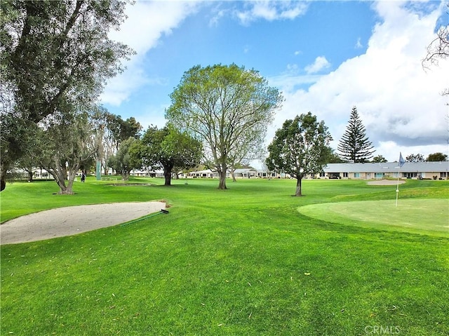 view of community with a yard