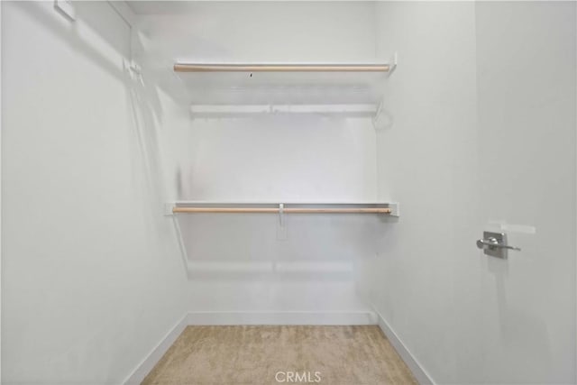 spacious closet with light colored carpet