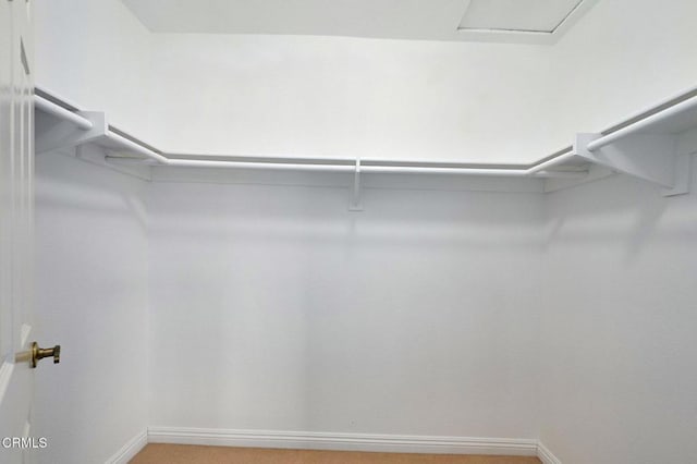 view of walk in closet