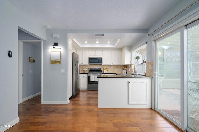 kitchen with appliances with stainless steel finishes, hardwood / wood-style floors, white cabinets, and a tray ceiling