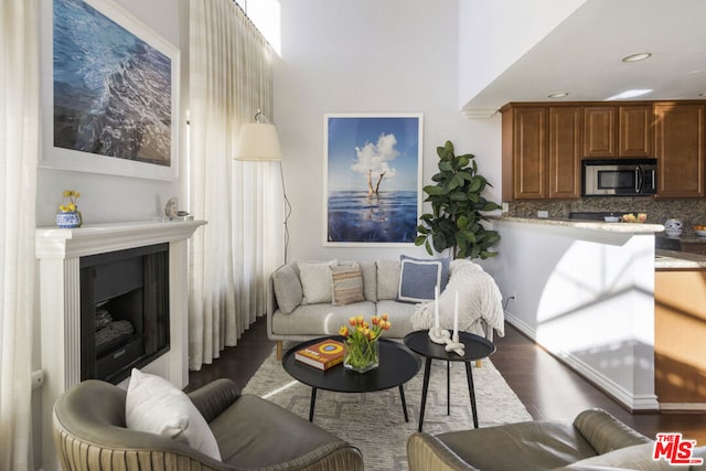 living room with dark hardwood / wood-style flooring