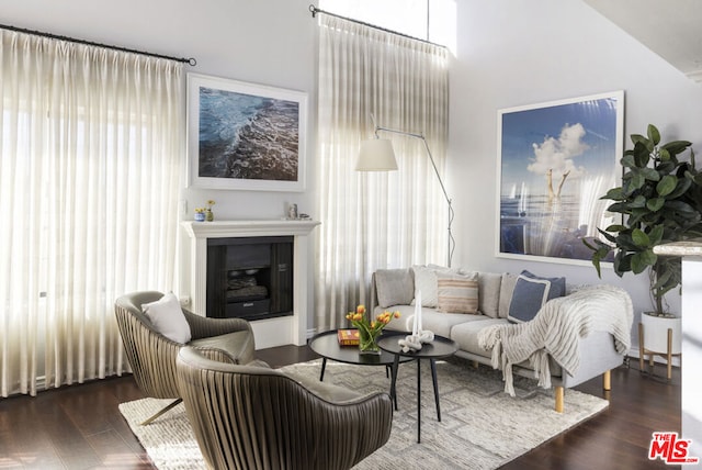 living room with dark wood-type flooring