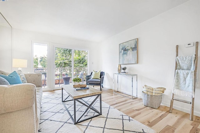 living room featuring light hardwood / wood-style flooring