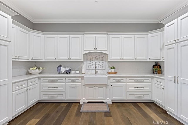 kitchen with sink, white cabinetry, tasteful backsplash, ornamental molding, and dark hardwood / wood-style flooring