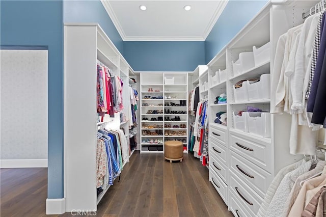 walk in closet featuring dark hardwood / wood-style floors