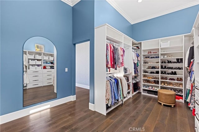 spacious closet with dark hardwood / wood-style flooring and a high ceiling