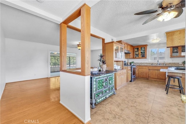 kitchen with brown cabinets, electric stove, under cabinet range hood, a sink, and glass insert cabinets