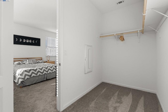 spacious closet featuring carpet floors